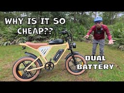 WATCH THIS BEFORE YOU BUY A DUAL BATTERY EBIKE