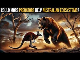 Could More Predators Help Australian Ecosystems?