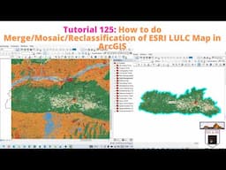 Merge/Mosaic/Reclassification of ESRI LULC Map in ArcGIS