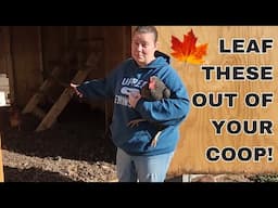 Putting Leaves In The Chicken Coop Good or Bad Idea??