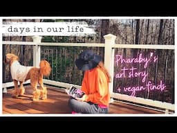 Pharaby’s Choice to Paint + Vegan Grocery Haul & Life Lately #vlog #dogmom #veganfood #paintingdog