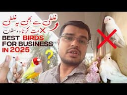 demanded birds of 2025 in birds market | mistakes in birds business 2025