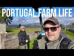 Farming in Central Portugal: Tractors, Manure, and Dairy Sheep