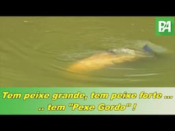 Canal Pesca Alternativa