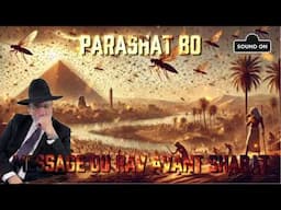 Parashat Bo 5785 (2025) Message du Rav avant Shabat 🇮🇱