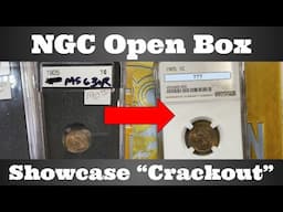 NGC Open Box - Showcase "Crackout" - Indian Head Cents - How Did Our Grades Compare?