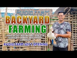 BACKYARD FARMING | NAPESTE ANG MGA ALAGA NOON, KAYA GUSTONG MAGSIMULA MULI: AVIDIO FARM SOFT OPENING