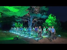 Coronation Concert's 'Lighting up the Nation' at Cambridge University Botanic Garden