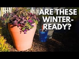 Winterize Your Self-Watering Containers (Tips You NEED to Know!)