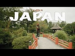 A Week in Japan l Food, Culture, Fashion Finds, Travel Adventures, & My Full Itinerary