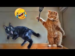 You Laugh You Lose😻Funniest Dogs and Cats 2024🤔