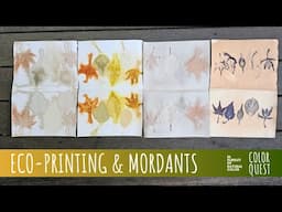 LEAF ECO-PRINTING WITH MORDANTS ON PAPER | ORGANIC COLOR | ALUM IRON TANNIN | BUNDLE STEAM PROCESS