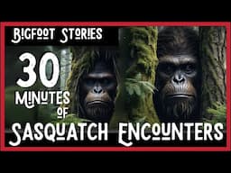 Beyond Belief Mythological Creatures Mysterious Sasquatch 30 Minutes Of Paranormal Bigfoot Stories