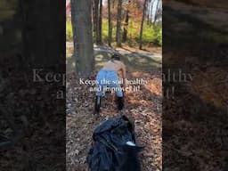 Winterizing the food forest garden, using straw and chopped leaves 🍂 #foodforest #fallgarden