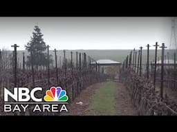 Livermore wineries remain hopeful following recent rain