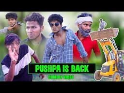 PUSHPA IS BACK || The Comedy Kingdom