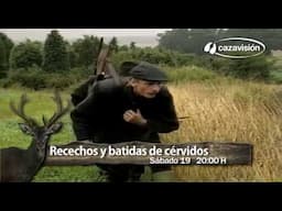 Recechos y batidas de cérvidos