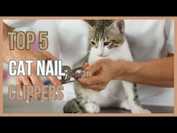 BEST CAT NAIL CLIPPERS THAT VETS DON’T WANT YOU TO KNOW ABOUT