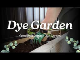 Creating a Small Cottage Dye Garden | Cozy Gardening