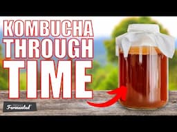 Kombucha Through Time | The History of Kombucha