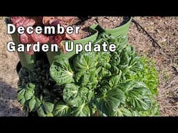 Taking A Break and Why - And A Quick December Garden Update - I'll Be Back