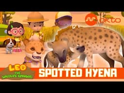 Zumi Finds BABY HYENA Adventure 🦝🐾| Leo the Wildlife Ranger Spinoff S6E12 | @mediacorpokto