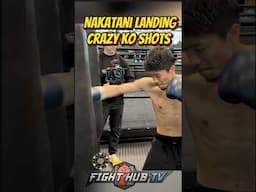 Junto Nakatani FIRES NEW VICIOUS KO COMBOS on heavy bag; rib breaking shots!