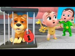 Bingo Pet Store + more Baby Songs & Nursery Rhymes