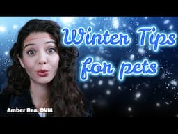 ❄️Winter 101 (for pets)❄️