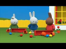 The dog made a mess! | Miffy | Cartoons for kids