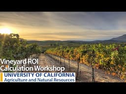 Vineyard ROI Calculation Workshop