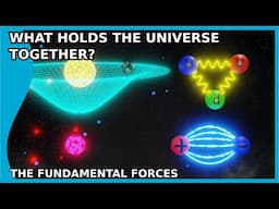 What Holds the Universe Together? The Fundamental Forces