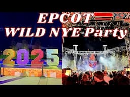 Disney New Years Eve Party at Epcot Is WILD!