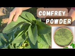 Supercharge Your Garden with Comfrey Powder