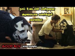 அதிர்ச்சியான கிளைமாக்ஸ் TWIST|TVO|Tamil Voice Over|Tamil Explanation|Tamil Dubbed Movies