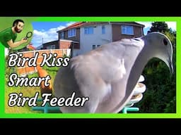 The Birdkiss Smart Bird Feeder - Unboxing and Testing