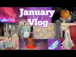 Moments in January 2025 📚 Monthly Vlog