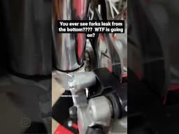 YZ250 forks leaking