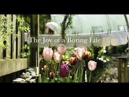 The Joy of a 'Boring' Life - April at Fairyland