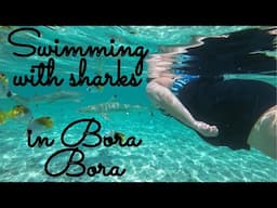 Snorkeling at St Regis Bora Bora | Swimming with Fish 🐠 Sharks 🦈 & Coral 🪸 | Big Family Vacation