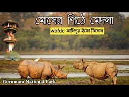 মোষের পিঠে মেদলা সাফারি || Gorumara National Park || Wbfdc কালিপুর ইকো ভিলেজ || Medla Watch Tower