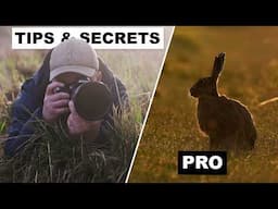 Pro WILDLIFE PHOTOGRAPHY Tips and Secrets for Stunning Photos