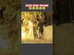 Fake Dog Prank 😂😂😂 #shorts #comedy