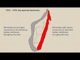 Hidden signals of reproductive isolation in Madagascar’s mouse lemurs w/ Dr. Anne Yoder