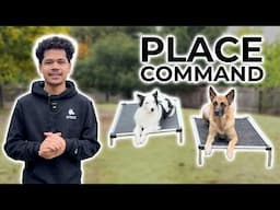 How to Teach Your Dog the PLACE Command (Step-By-Step)