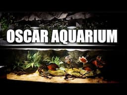 THE OSCAR AQUARIUM