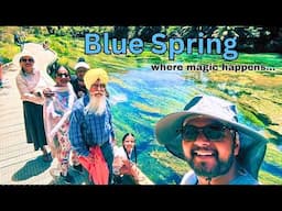 MAGICAL BLUE SPRING OF NEW ZEALAND || FAMILY ROAD TRIP || VLOG - 491