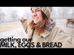 Milk, Eggs & Bread - Homestead Style (SC Winter Storm) | VLOG