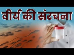 Composition of Semen || वीर्य की संरचना || Dr Sarita Jain #arihantivf