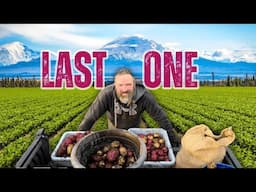 The Last Alaskan Harvest Taters and Tanks